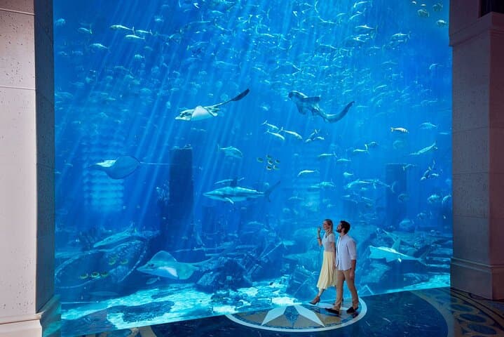 Skip the Line: Lost World Aquarium at Atlantis The Palm Ticket