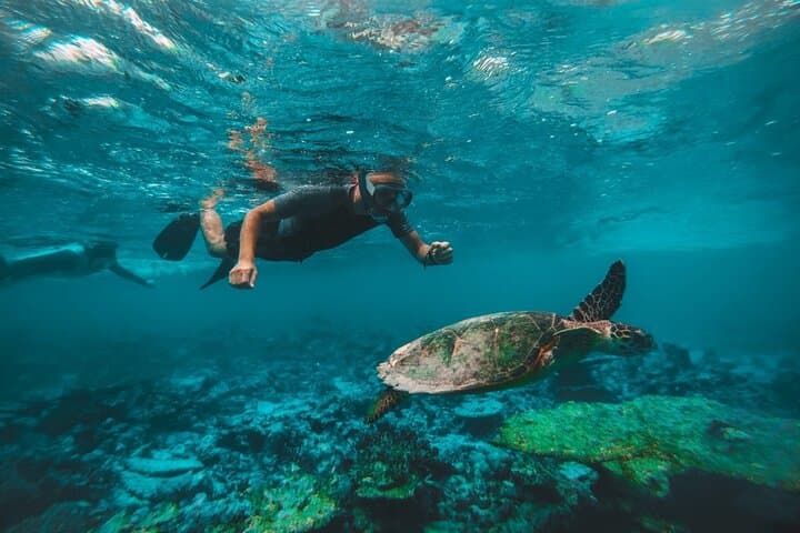 Two Dives for certified divers in Fujairah