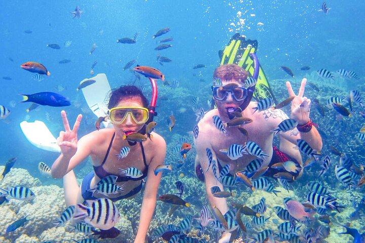 From Dubai: Discovery Scuba Diving & Snorkeling trip in Fujairah