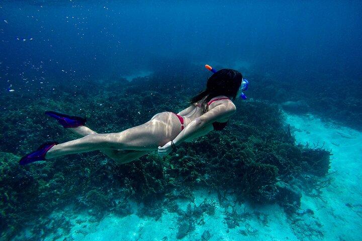 From Dubai: Discovery Scuba Diving & Snorkeling trip in Fujairah