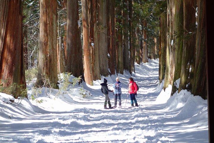 Nagano Winter Special Tour "Snow Monkey and Snowshoe Hiking"!!