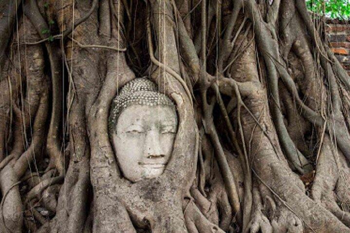 Temples of Ayutthaya Day Tour from Bangkok