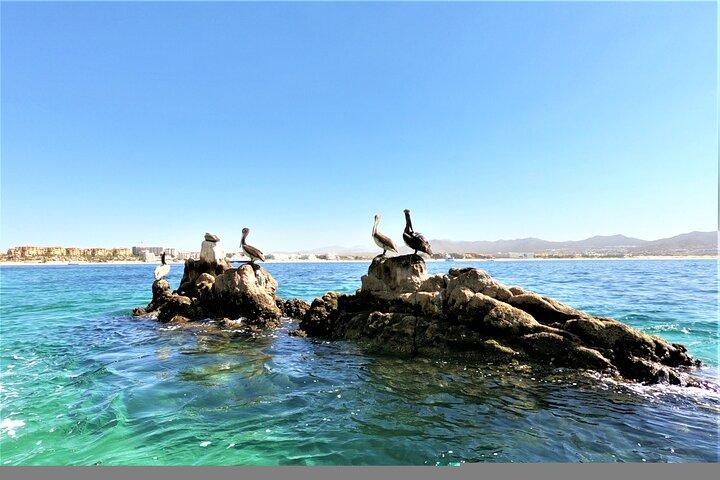 Glass Bottom Boat in Cabo San Lucas, free time in Playa del Amor