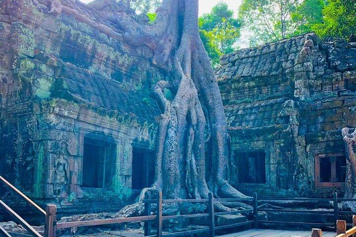 Angkor Private Car Tour: Angkor Wat, Bayon & Ta Prohm (Half Day)