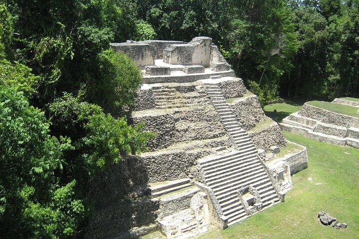 Full-Day Caracol Maya Temple and Pine Ridge Forest Reserve