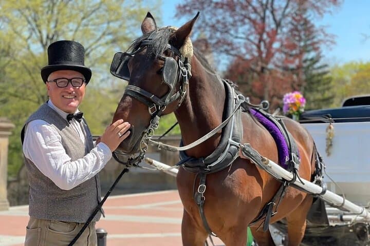 NYC Central Park Horse and Carriage Ride: Long Ride 45 min