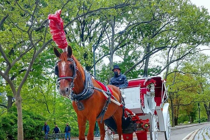NYC Central Park Horse and Carriage Ride: Long Ride 45 min