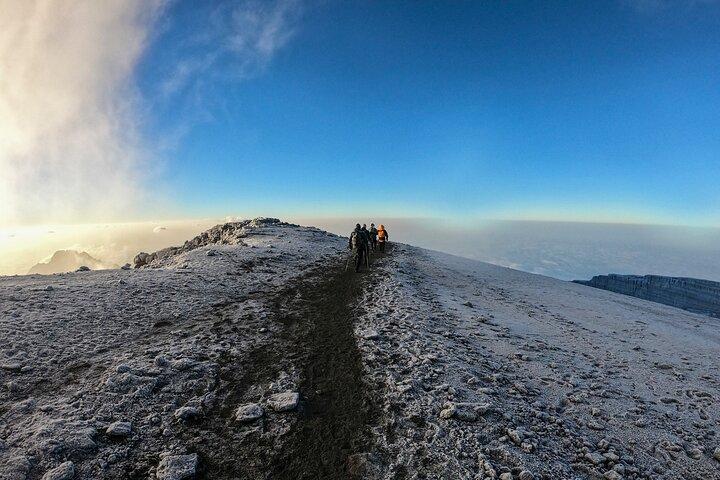 1 Day Marangu route trip up to Mandara Hut | Kilimanjaro hiking