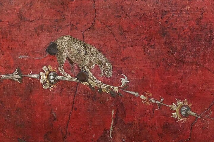 Private Pompeii and Herculaneum with Wine Tasting - Full Tickets