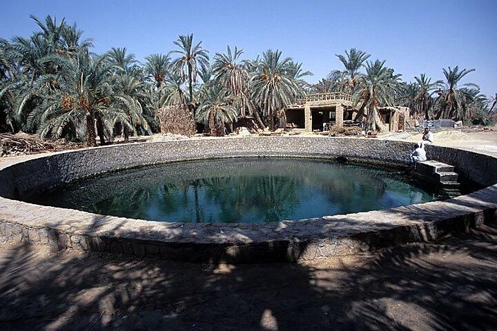 7 Days Tour to Siwa Oais and Alexandria from Cairo