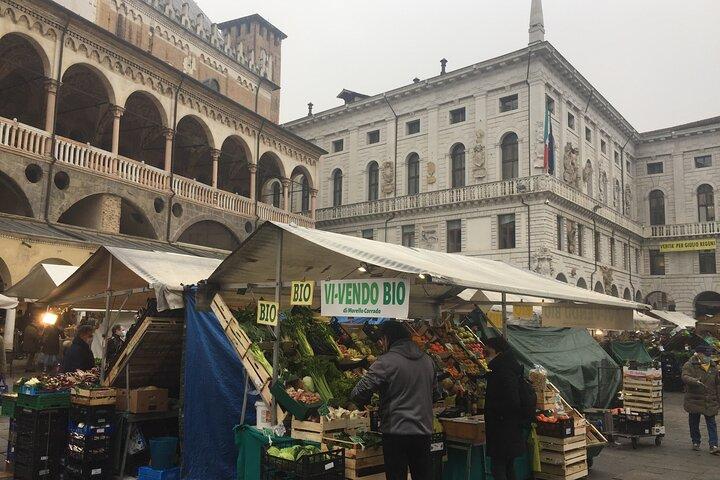 Private Tours of Padova with a Professional Guide