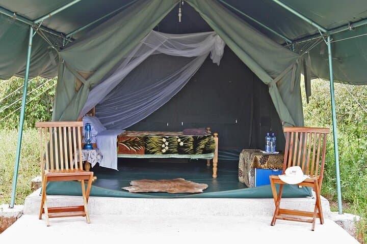 3 Day Maasai Mara 4x4 group Safari(Budget or Luxury room options)