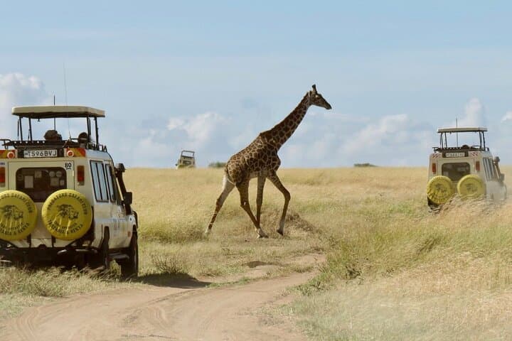 3 Day Maasai Mara 4x4 group Safari(Budget or Luxury room options)