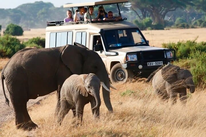 3 Day Maasai Mara 4x4 group Safari(Budget or Luxury room options)