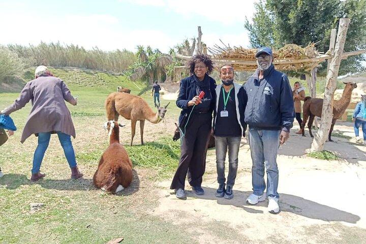 8-Hour Africa Safari Park Private Tour from Cairo with Hotel Pickup and Drop-off