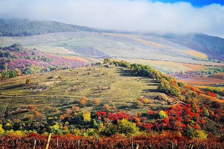 Eger private tour to the home of Bull's Blood wine with taste!