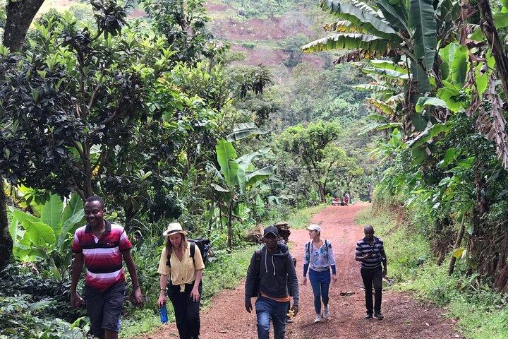 Materuni Waterfalls & Coffee Tour