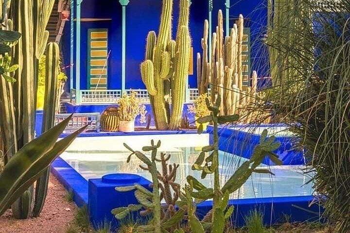 Private Guided City Tour to Discover The Medina or Old Town of Marrakech