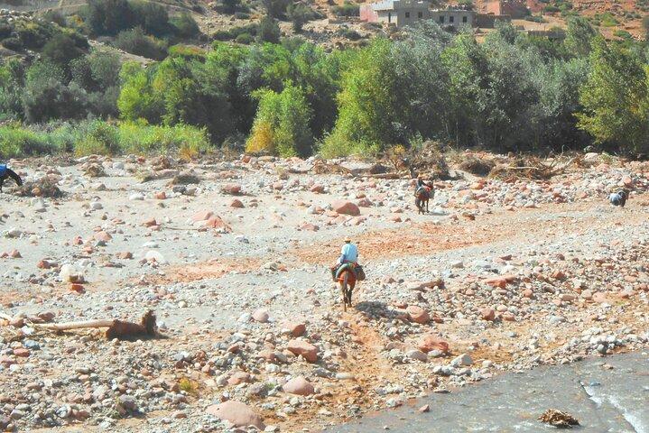 Zat valley and the Atlas mountain private day trip from Marrakech with lunch.