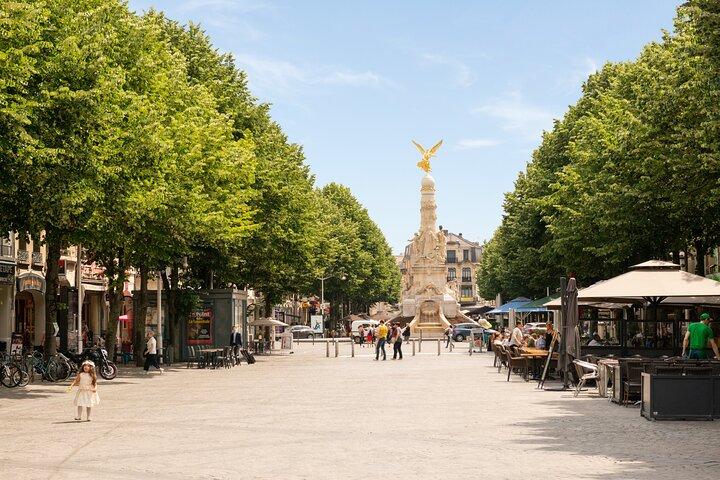 Private transfer from Reims or Epernay to CDG airport or Paris