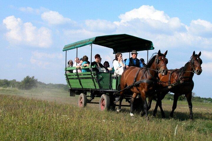 Budapest Puszta Day Trip to Kecskemet with Horse Show & Lunch