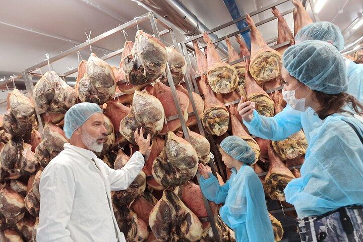 Prosciutto Factory 4-Hour Tasting Tour in Bologna
