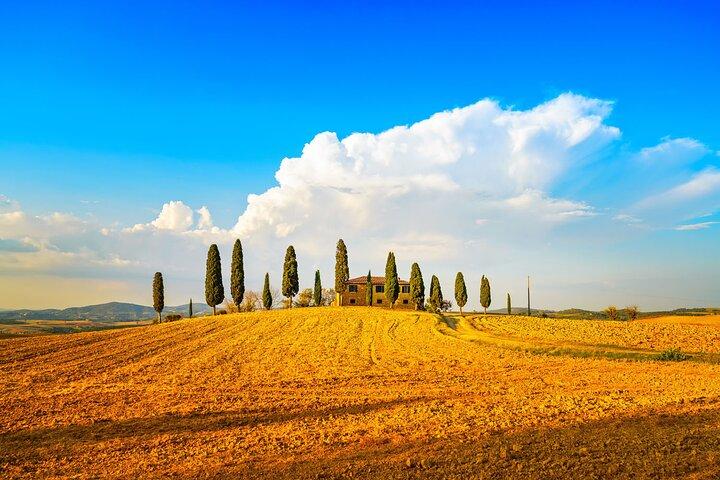 Private Tuscany Wine Country Day Trip from Rome with Lunch