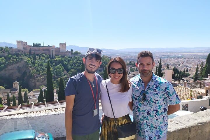 Alhambra with Nazaries Palaces Private Tour
