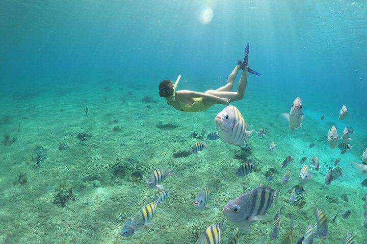 Cozumel ClearBoat Adventure with Snorkeling