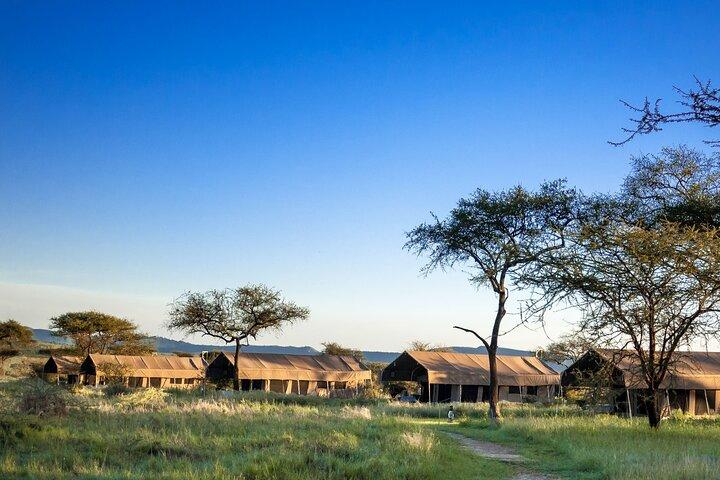 Tanzania 8 Day Private Safari Experience