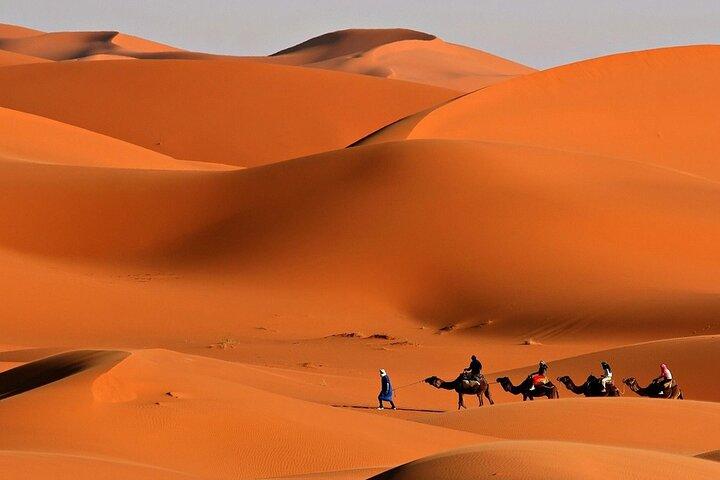 Desert Safari Dubai BBQ Dinner & Live Shows