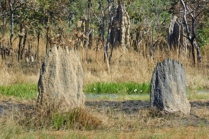 Litchfield Tour & Crocodile - Crocodylus Park