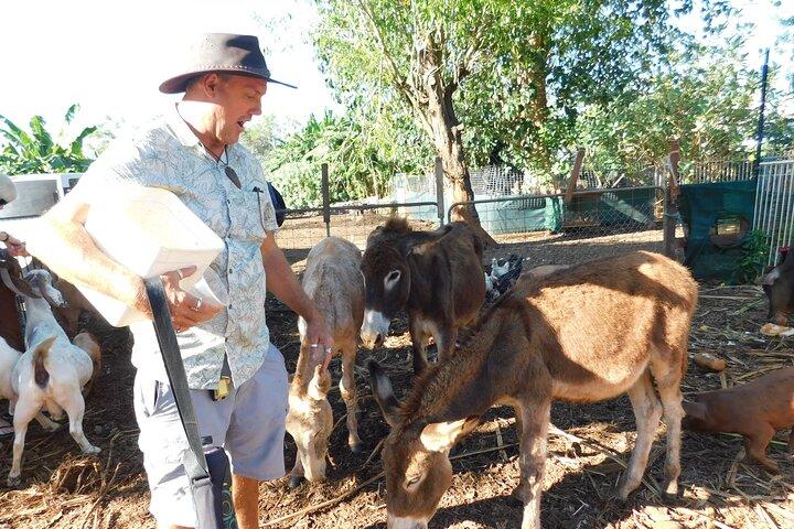Litchfield Tour & Crocodile - Crocodylus Park