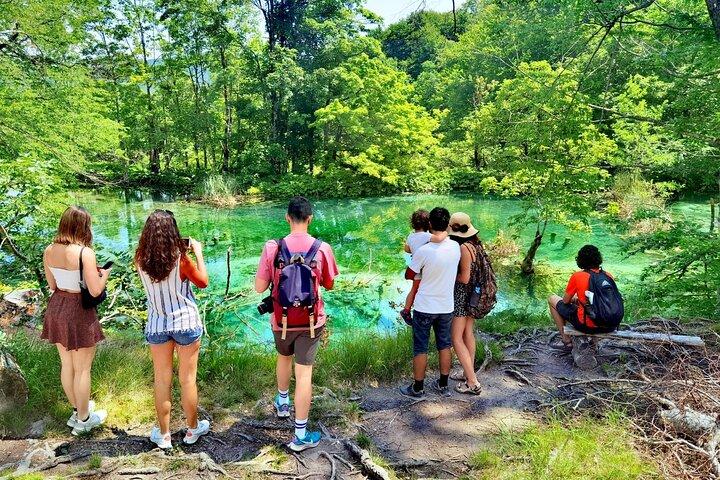 Plitvice Lakes Economy Group Tour from Split or Trogir