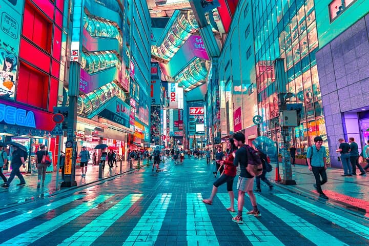 Tokyo Private Walking Tour with a Local