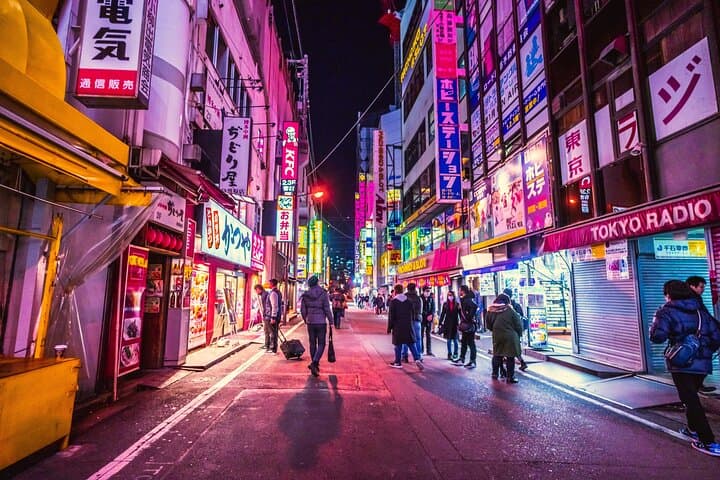 Tokyo Private Walking Tour with a Local