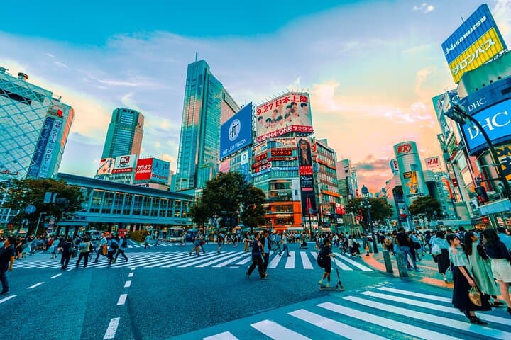 Tokyo Private Walking Tour with a Local