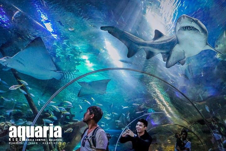Malaysia: Aquaria KLCC Entry Ticket