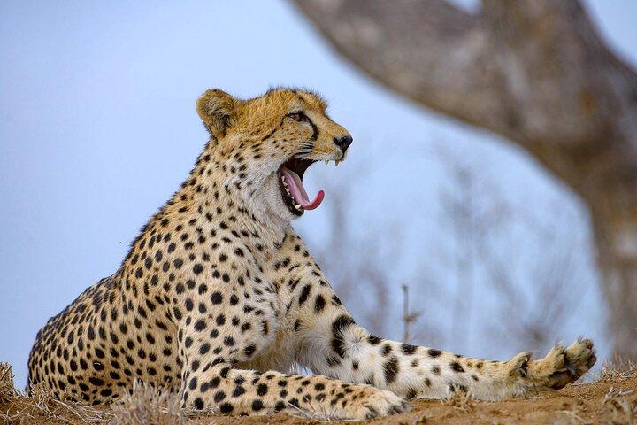 Nairobi national park ,Giraffe center and Beads factory