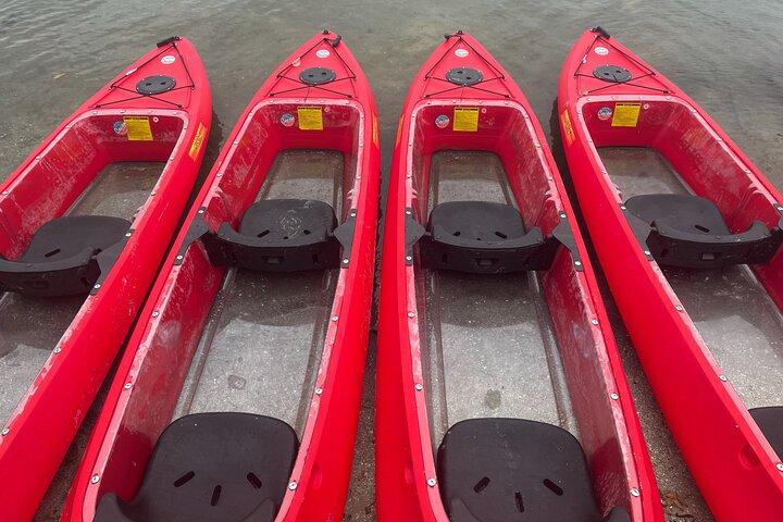 Indian River Clear Bottom Kayak or Paddleboarding Manatee and Dolphin Tour