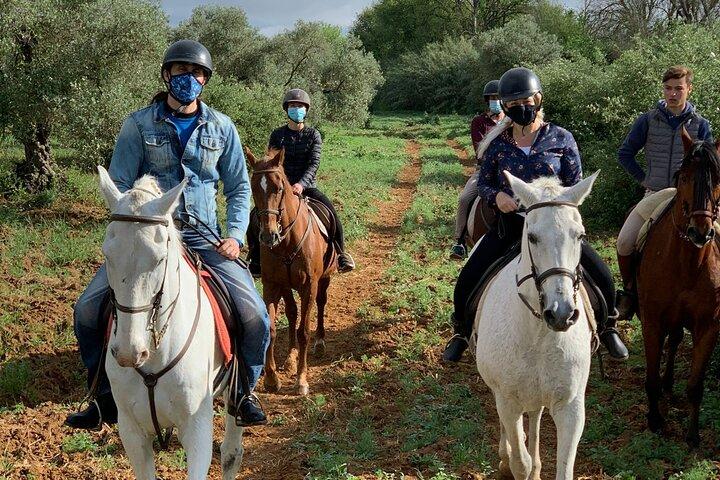 Granada & Sierra Nevada Horse Riding Tour