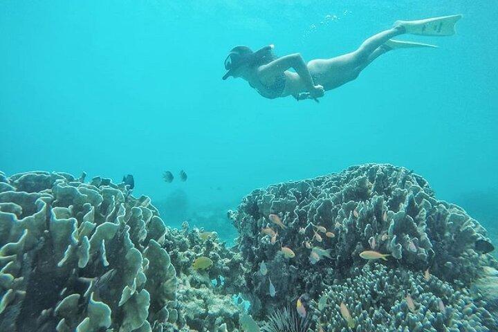 Gili island Snorkeling Half Day Trip departure from Gili Trawangan
