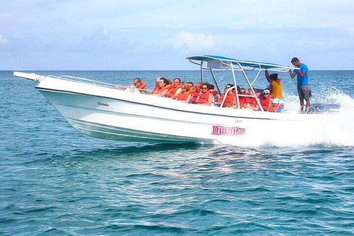 Saona Island Full Day Excursion from Punta Cana + Catamaran Party
