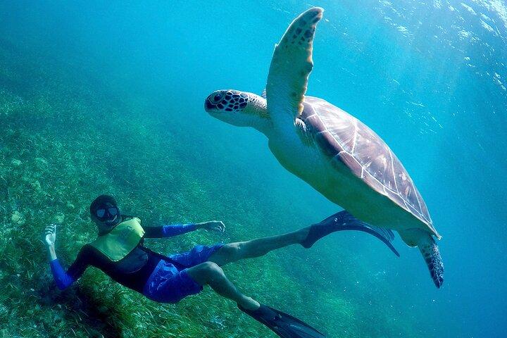 Cancun Snorkeling Adventure: Underwater Museum, Reef & Shipwreck
