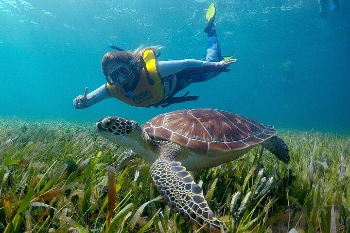 Cancun Snorkeling Adventure: Underwater Museum, Reef & Shipwreck