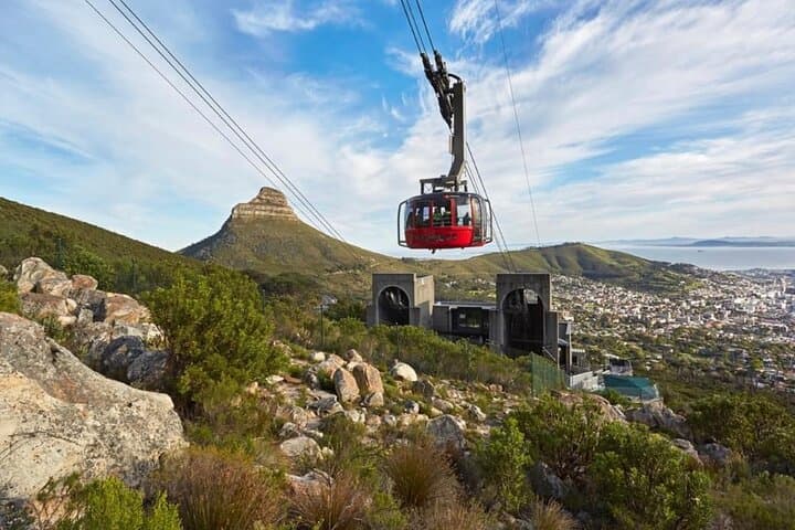 Small Group: Cape Peninsula & Table Mountain Full Day Tour.