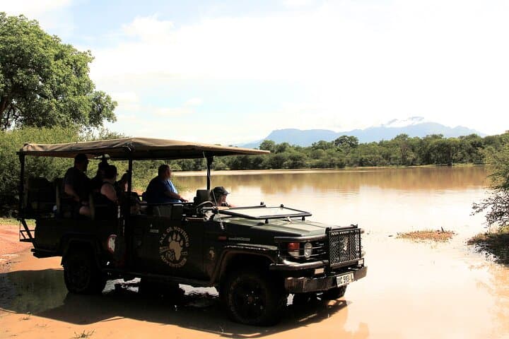 Exclusive Morning Game Drive Safari near Hoedspruit