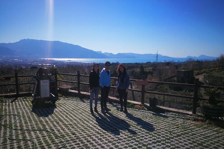 Escursione a terra Vesuvio e sito di Ercolano (6 ore)