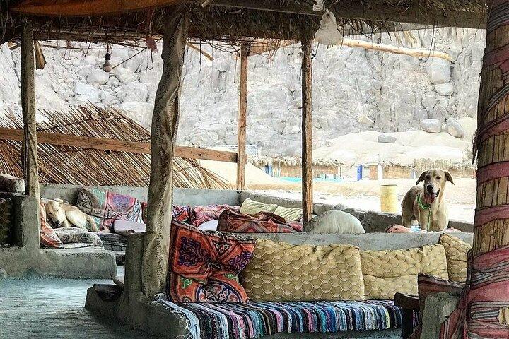 Back To Nature For 3 Day 2 Night To Ras Shetan In Nuweiba From Cairo