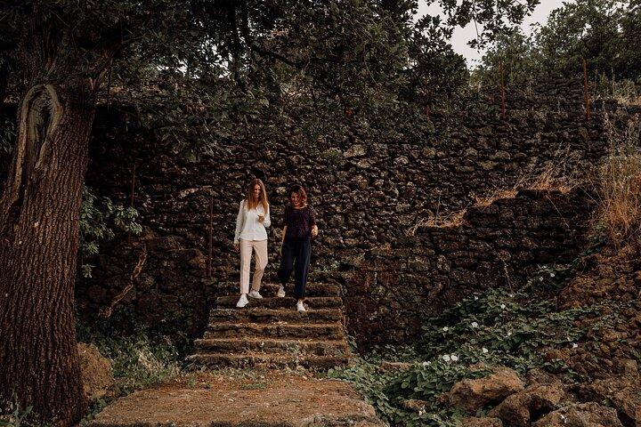 Etna Urban Winery - Sunset vineyard Walk and Tasting Dinner